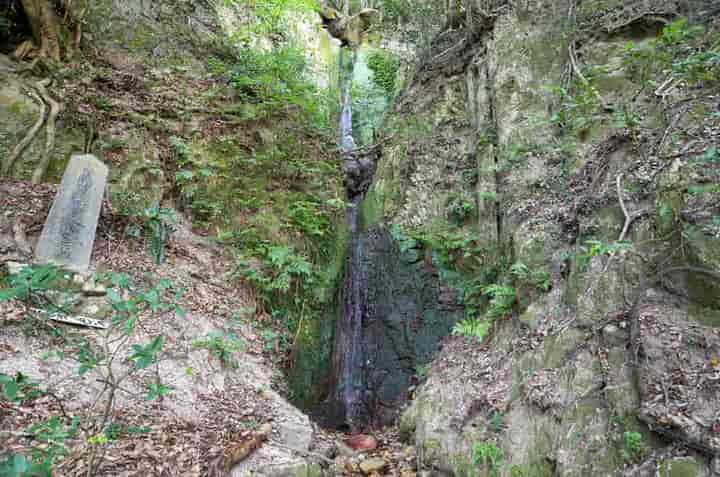 �����̑�